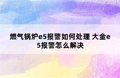 燃气锅炉e5报警如何处理 大金e5报警怎么解决